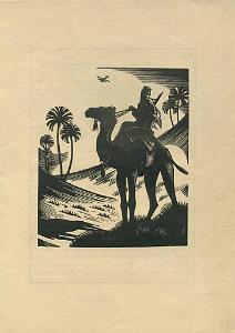 Arrachart et Lemaitre-1925 (1)_000004